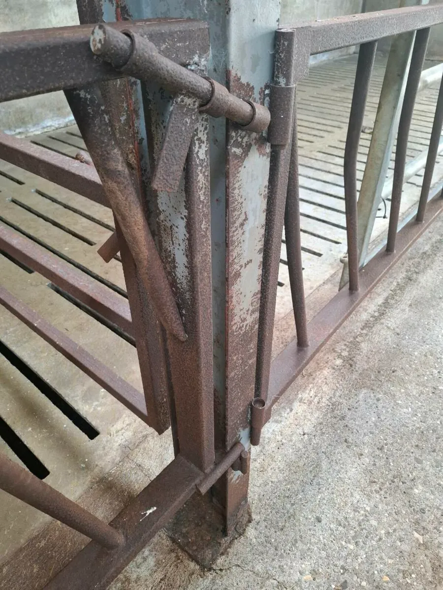 Feed barriers - Image 3