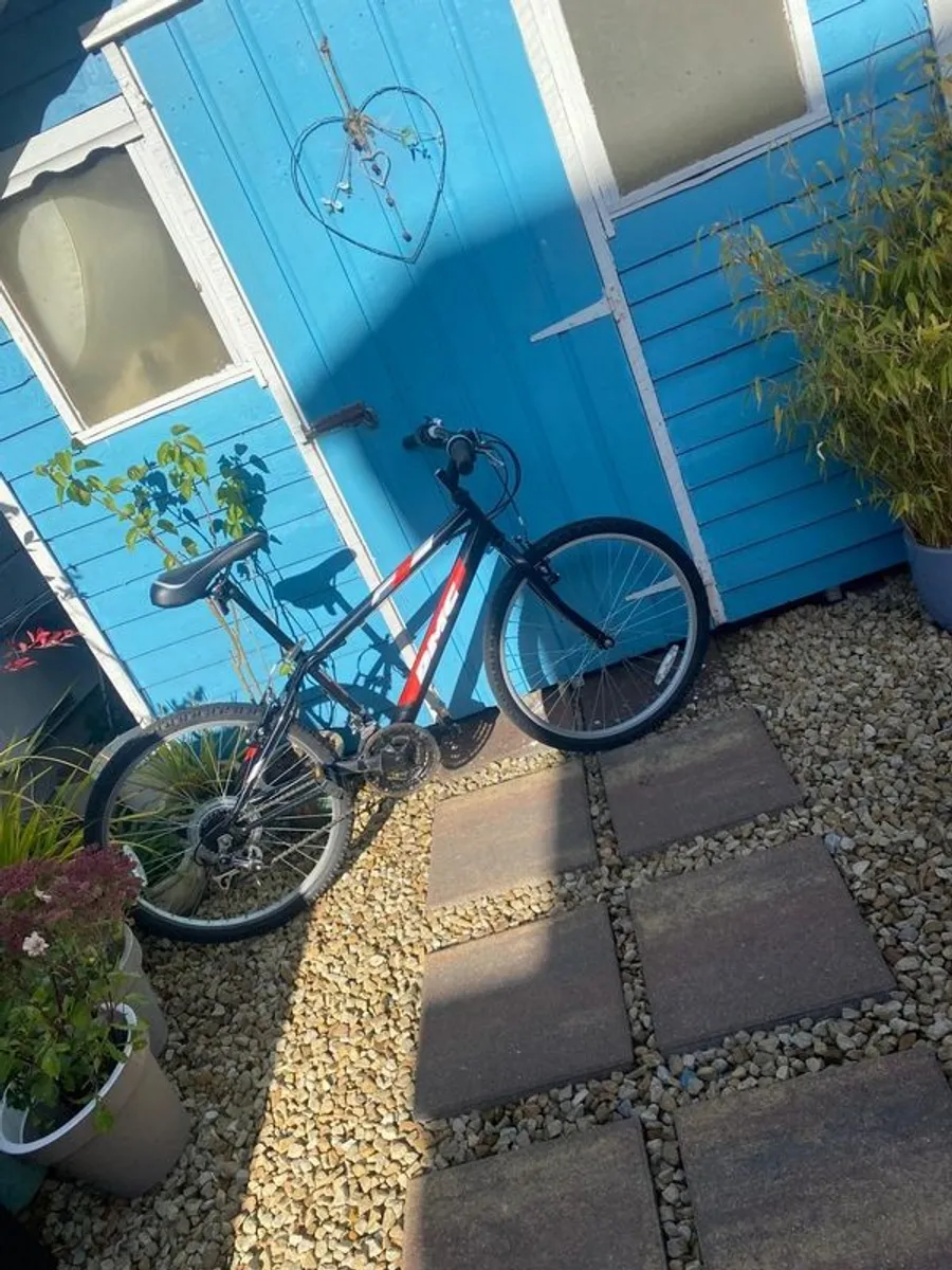 Kids DMC bicycle - Image 1