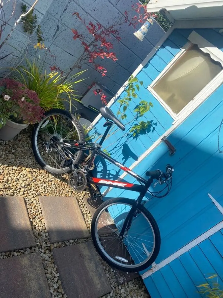 Kids DMC bicycle - Image 2