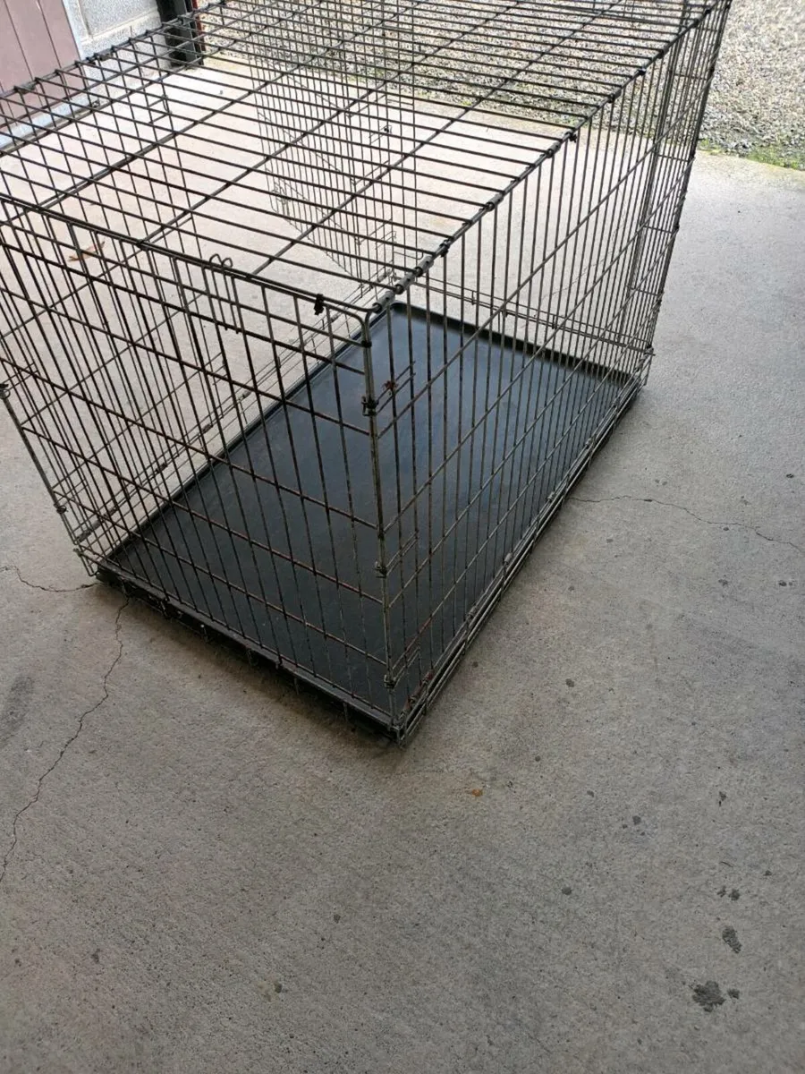 Large dog cage - Image 4