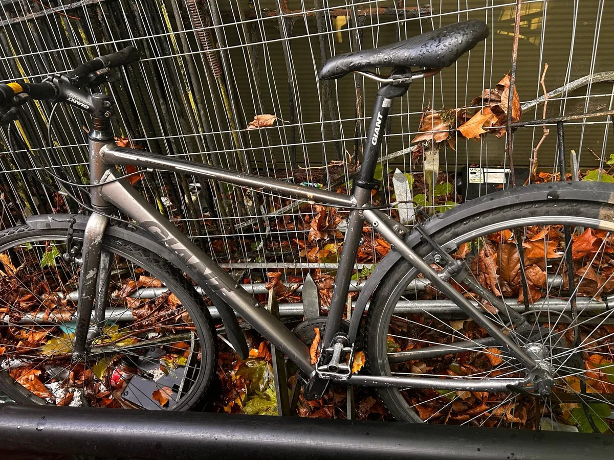 Trek push bike - Image 2