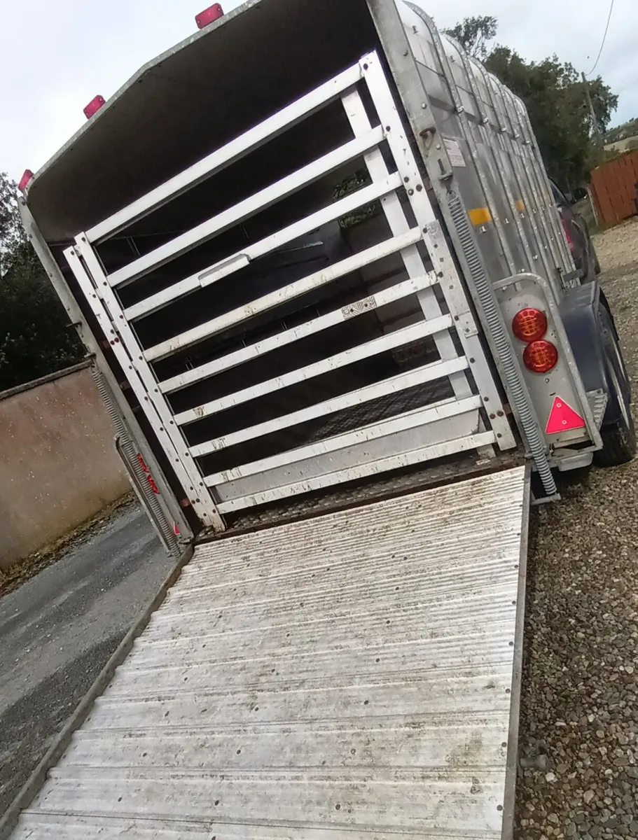 Hudson Cattle trailer - Image 3