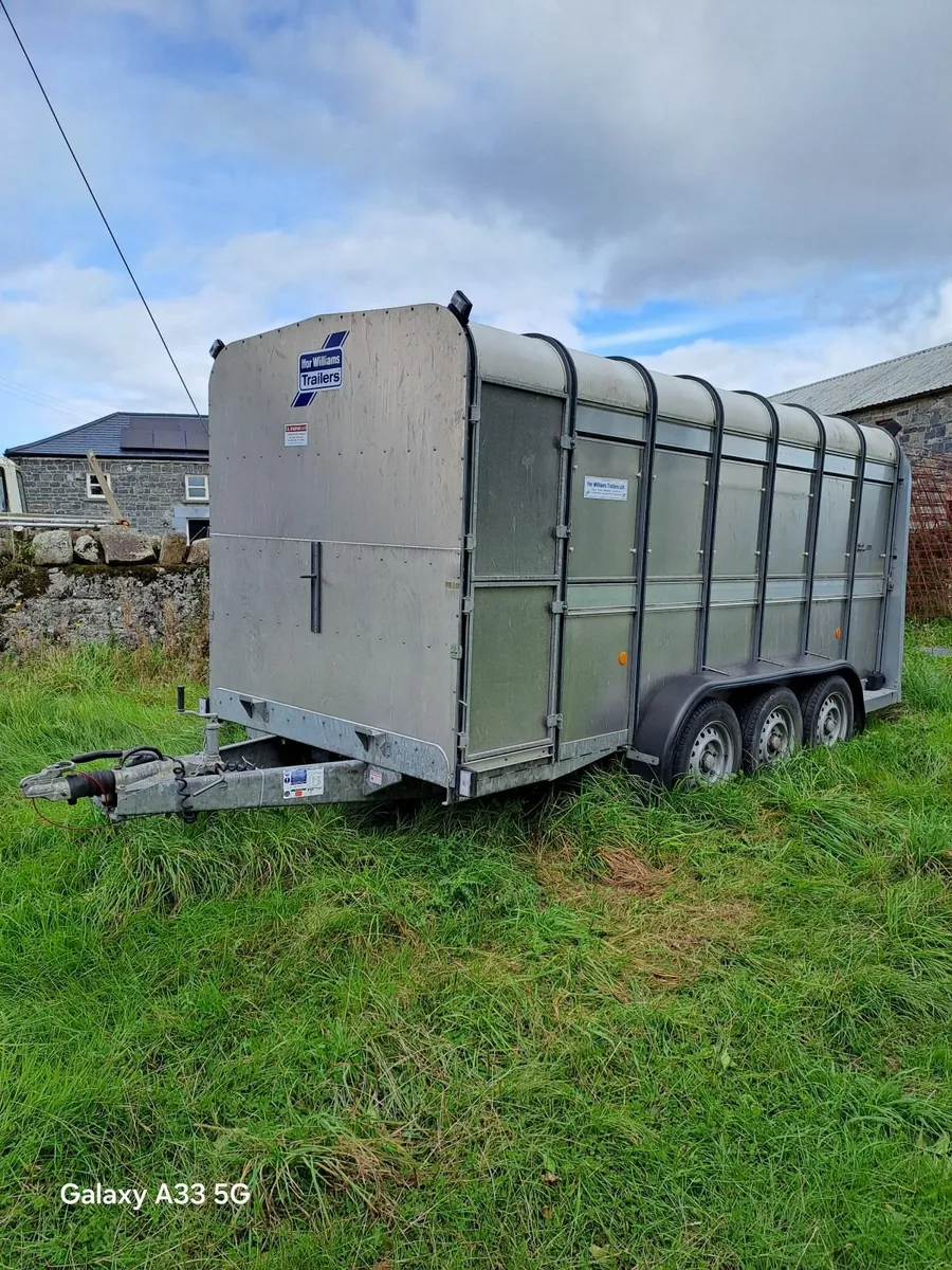 Ifor Williams Trailer 14x6 - Image 2