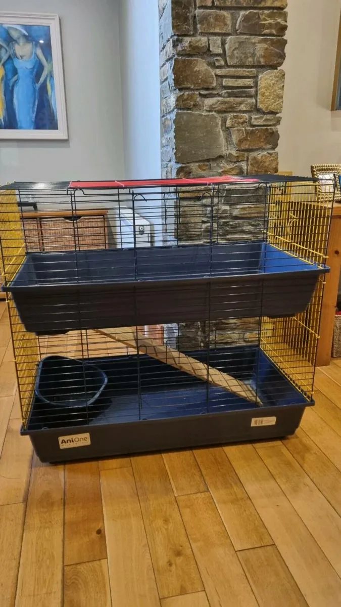 Guinea pig/ rabbit cage - Image 3