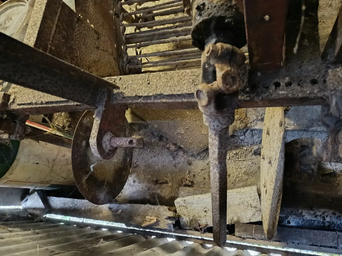 Potato digger - Image 2