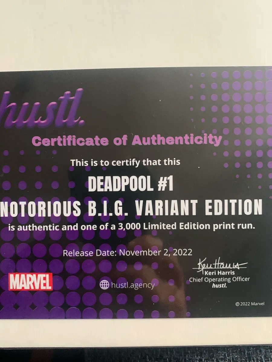 Dead pool #1 B.i.G. Comic - Image 3