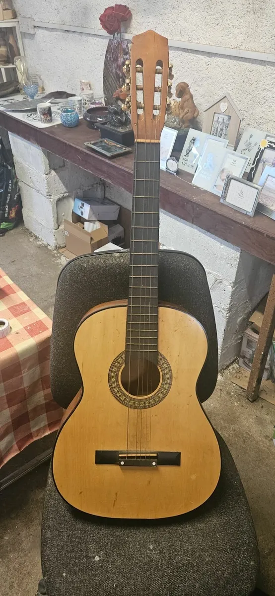 Guitar