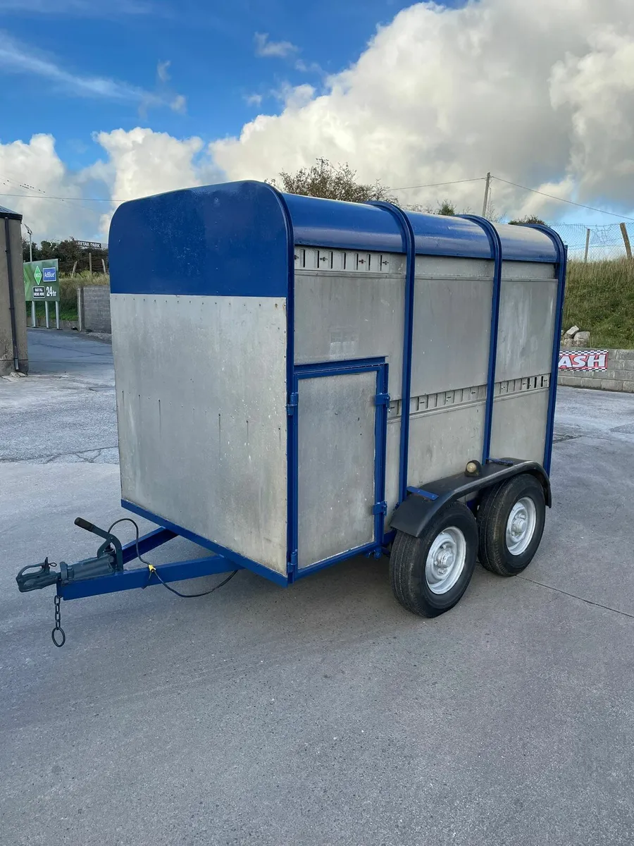 8by5 ifor Williams cattle trailer for sale - Image 1