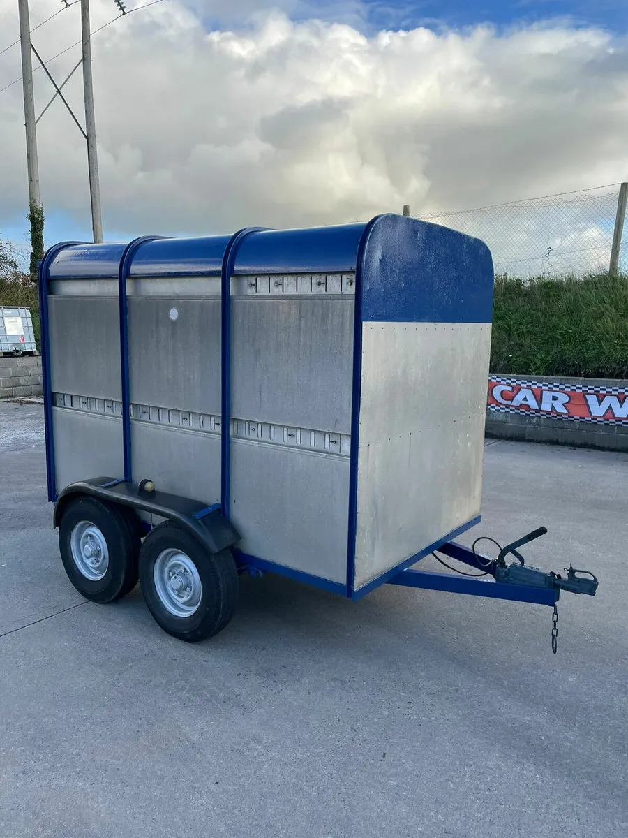 8by5 ifor Williams cattle trailer for sale - Image 2