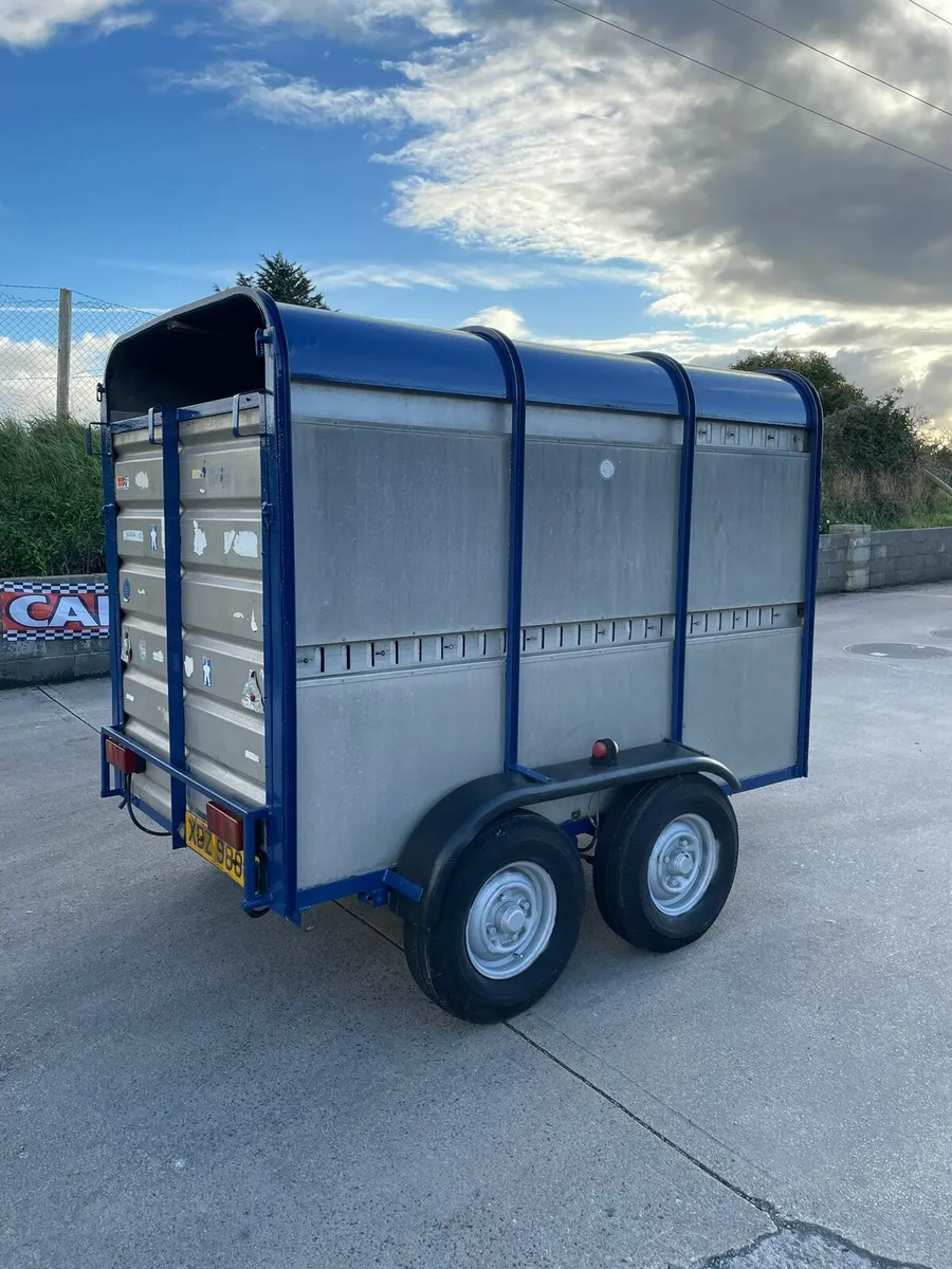 8by5 ifor Williams cattle trailer for sale - Image 3