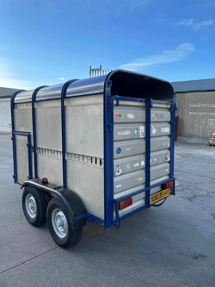 8by5 ifor Williams cattle trailer for sale - Image 4