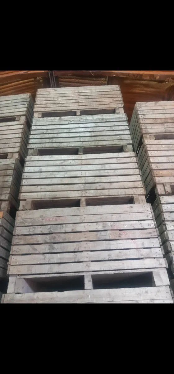 Potato boxes - Image 2