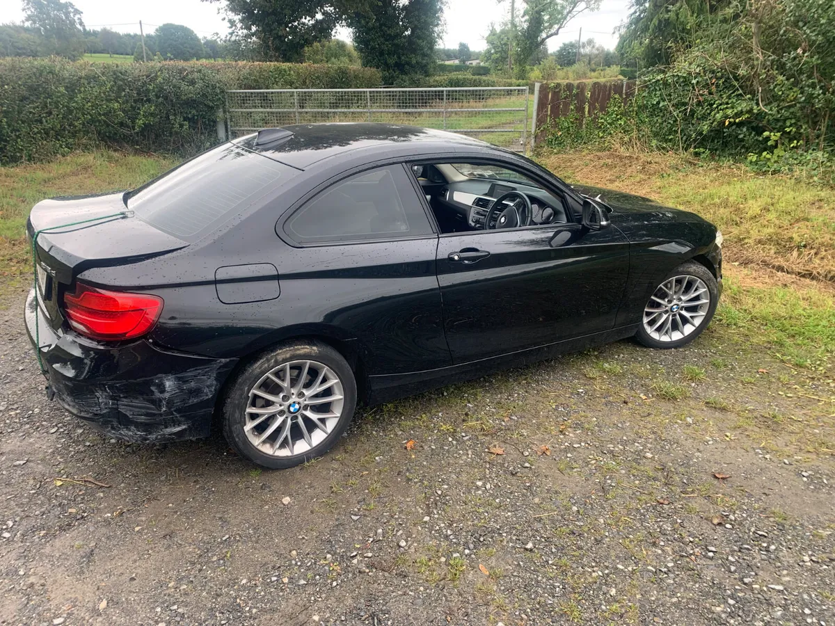 2019 BMW 218 DIESEL AUTOMATIC - Image 3