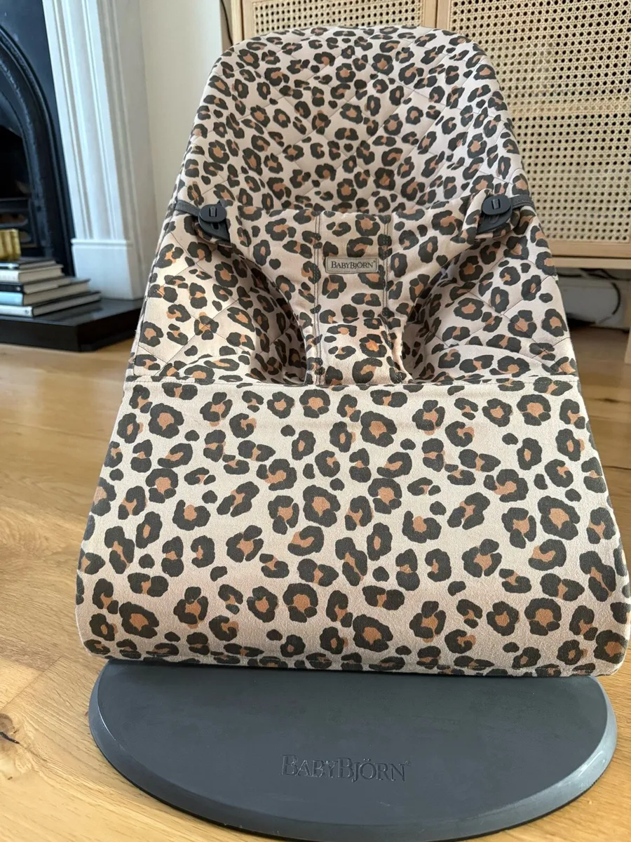 BabyBjorn Bouncer - Image 1