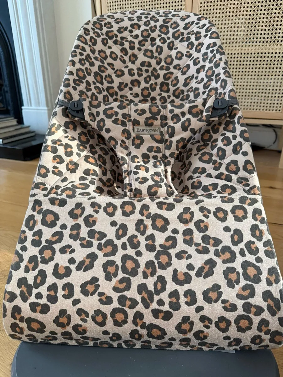 BabyBjorn Bouncer - Image 2