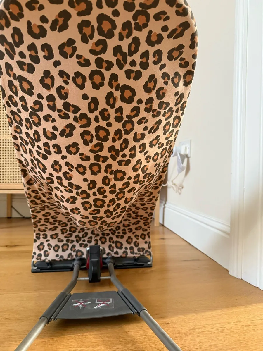 BabyBjorn Bouncer - Image 3