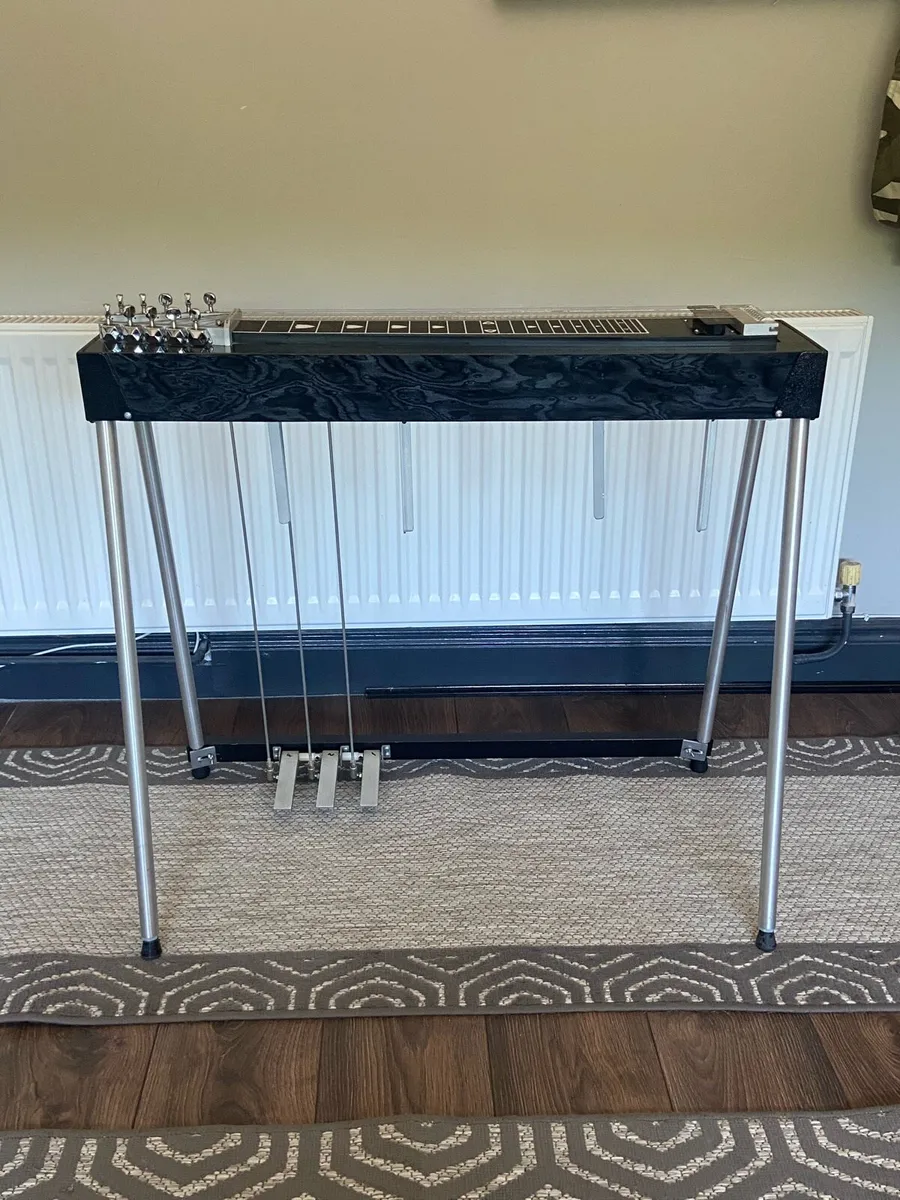 Carter Starter Pedal Steel Guitar - Image 2