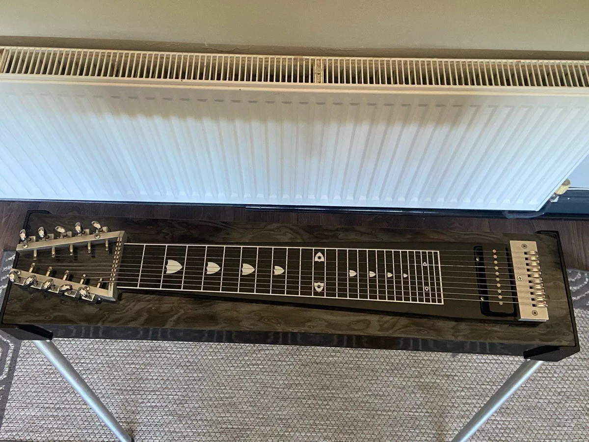 Carter Starter Pedal Steel Guitar - Image 3