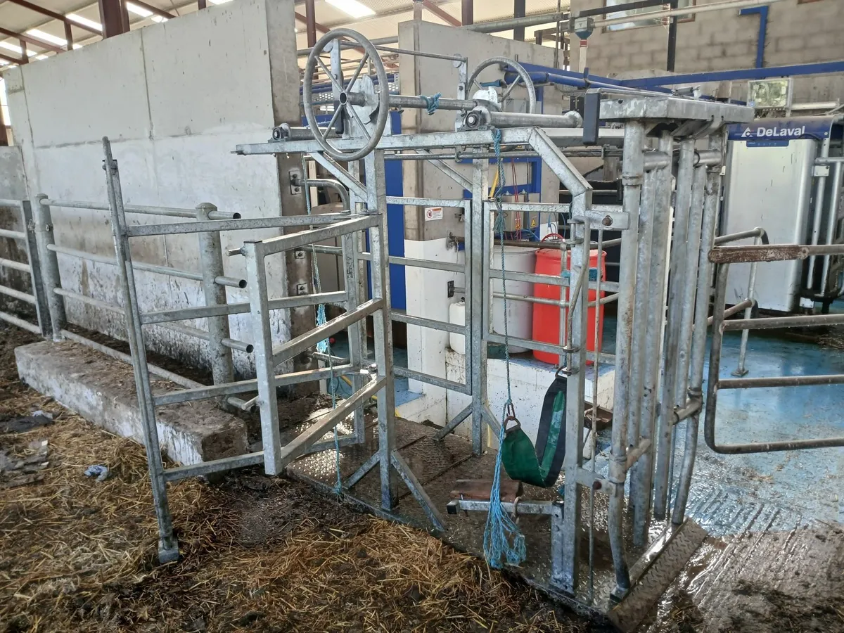 Mobile Cattle Crush/ Hoof Pairing Crate - Image 3