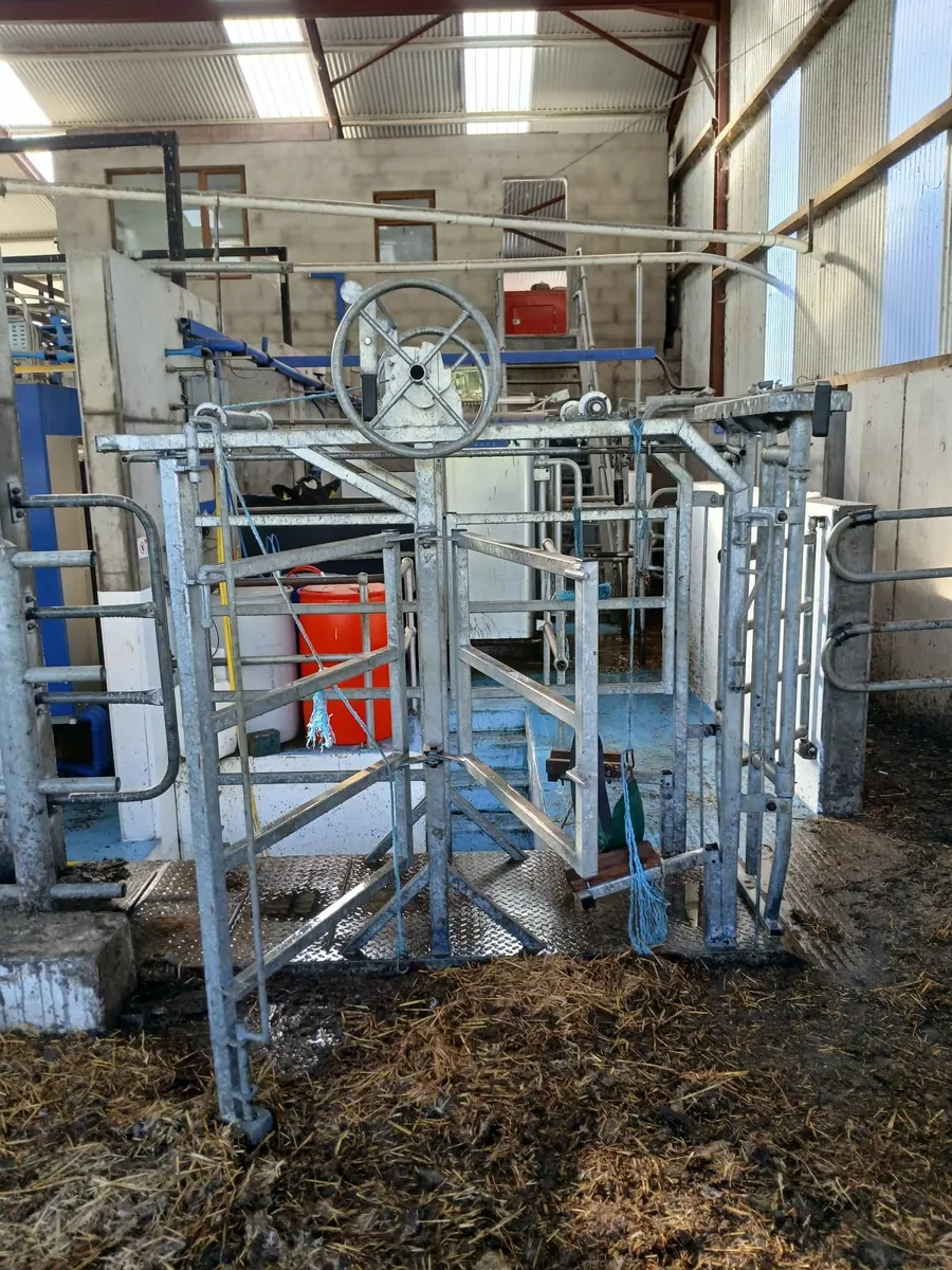 Mobile Cattle Crush/ Hoof Pairing Crate - Image 4
