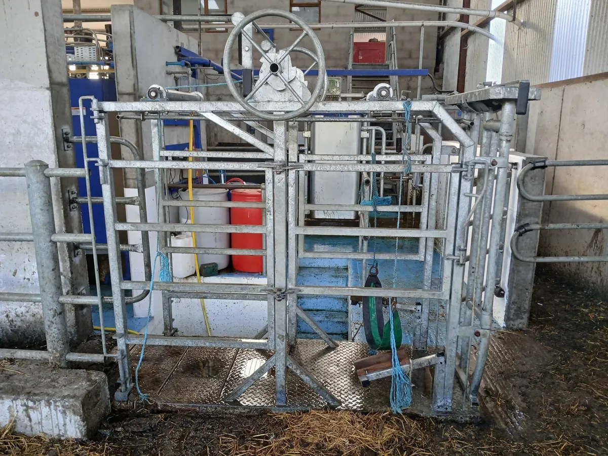 Mobile Cattle Crush/ Hoof Pairing Crate - Image 1