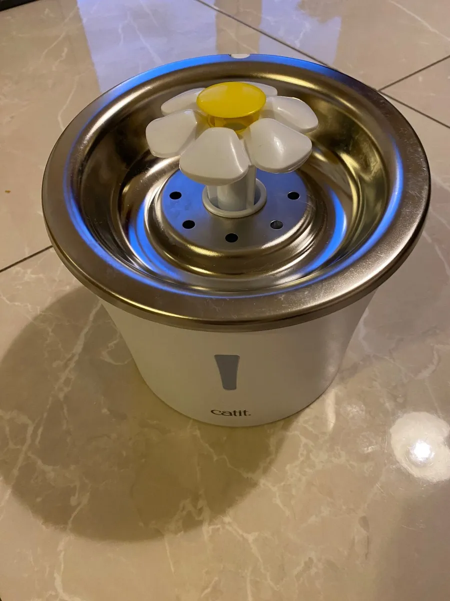 Cat drinking water fountain - Image 1