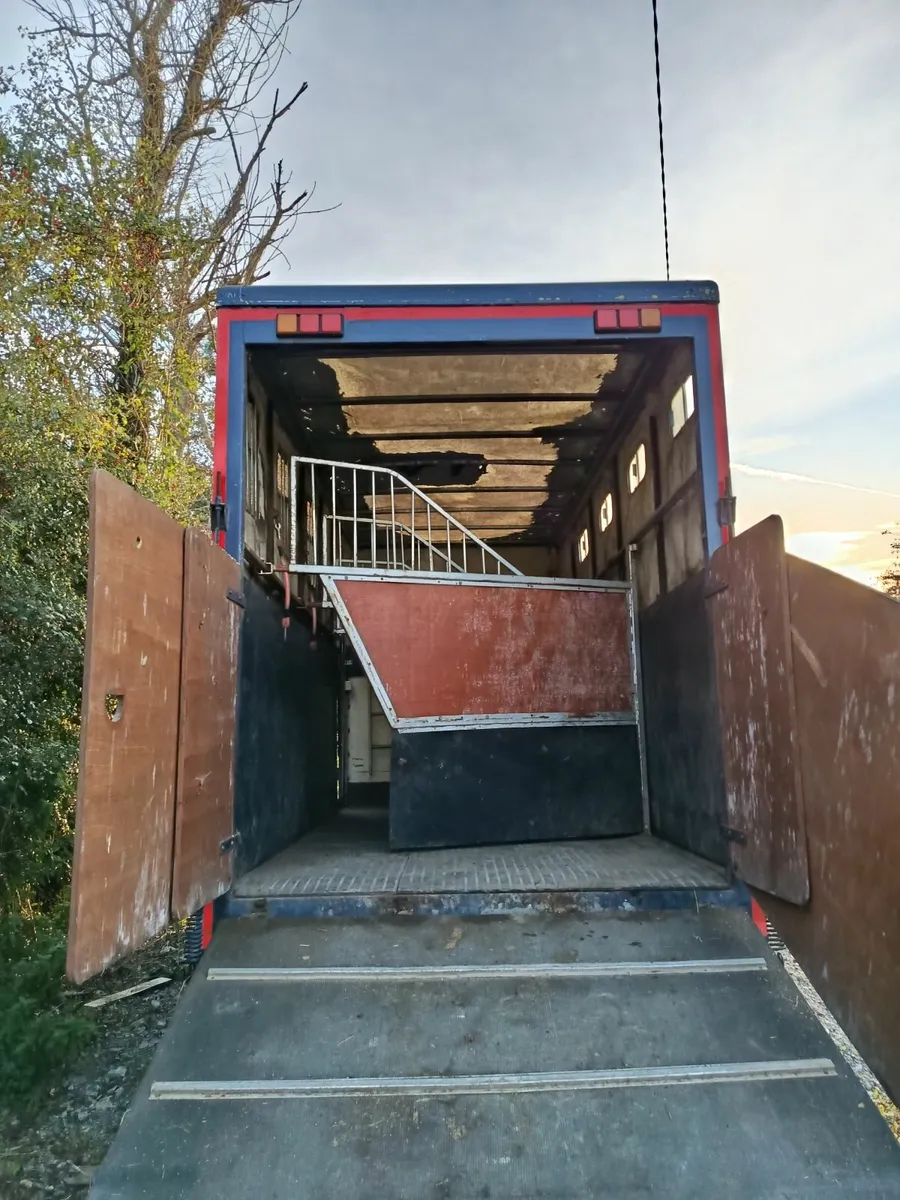 3.5 ton Pony/horse truck - Image 3