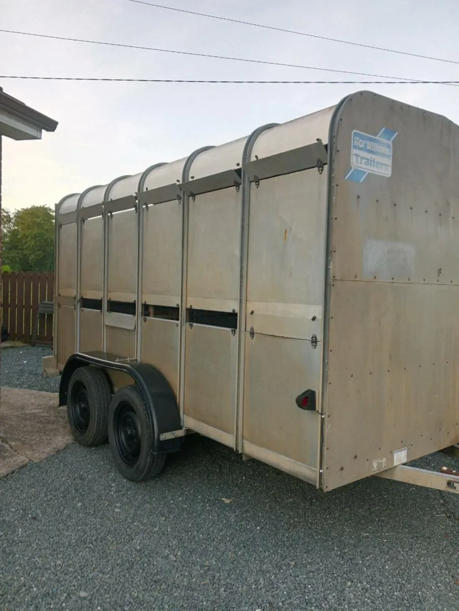 IFOR WILLIAMS TRAILER - Image 1