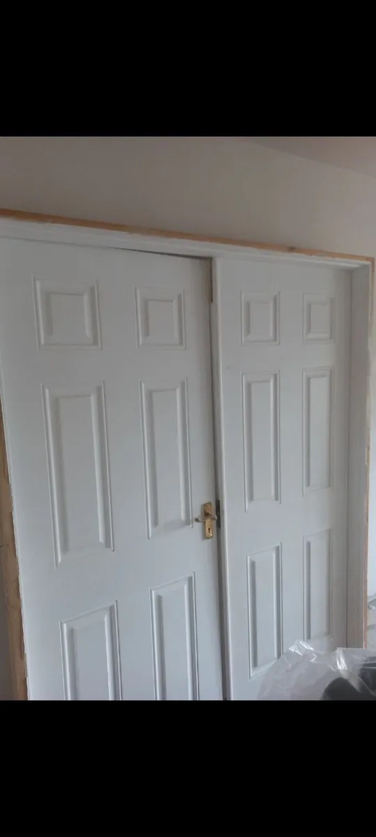 Doors, window, freezer - Image 3