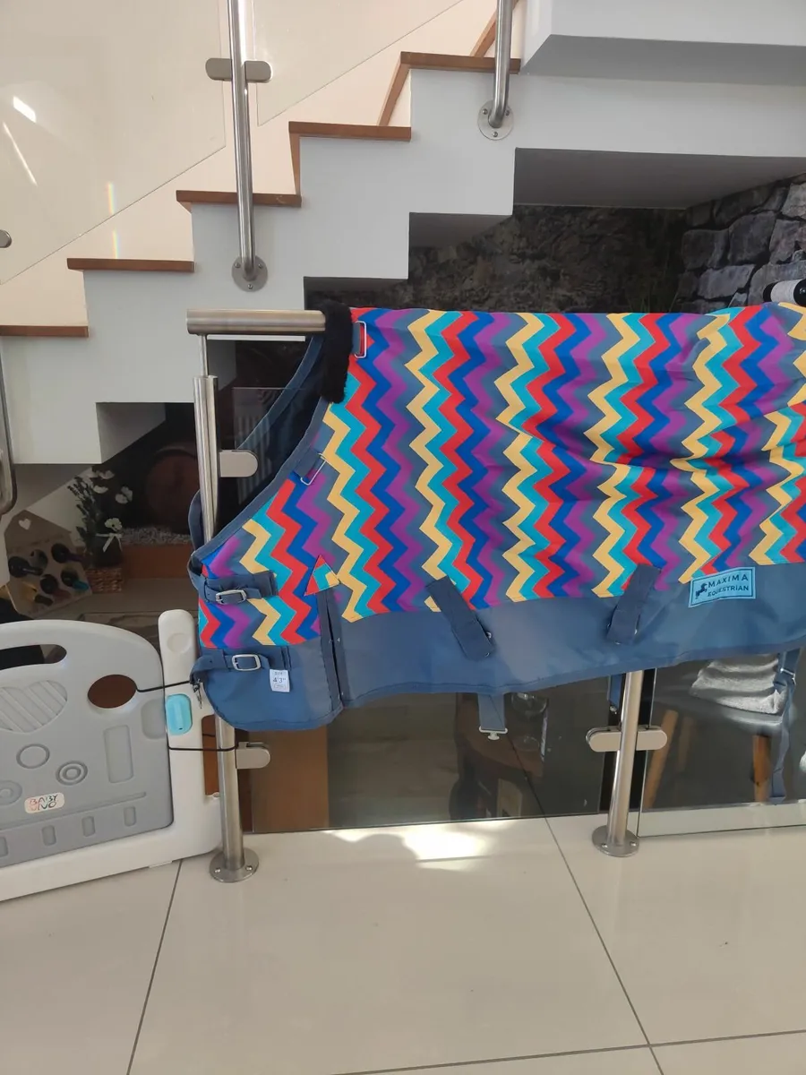 Pony rug - Image 3