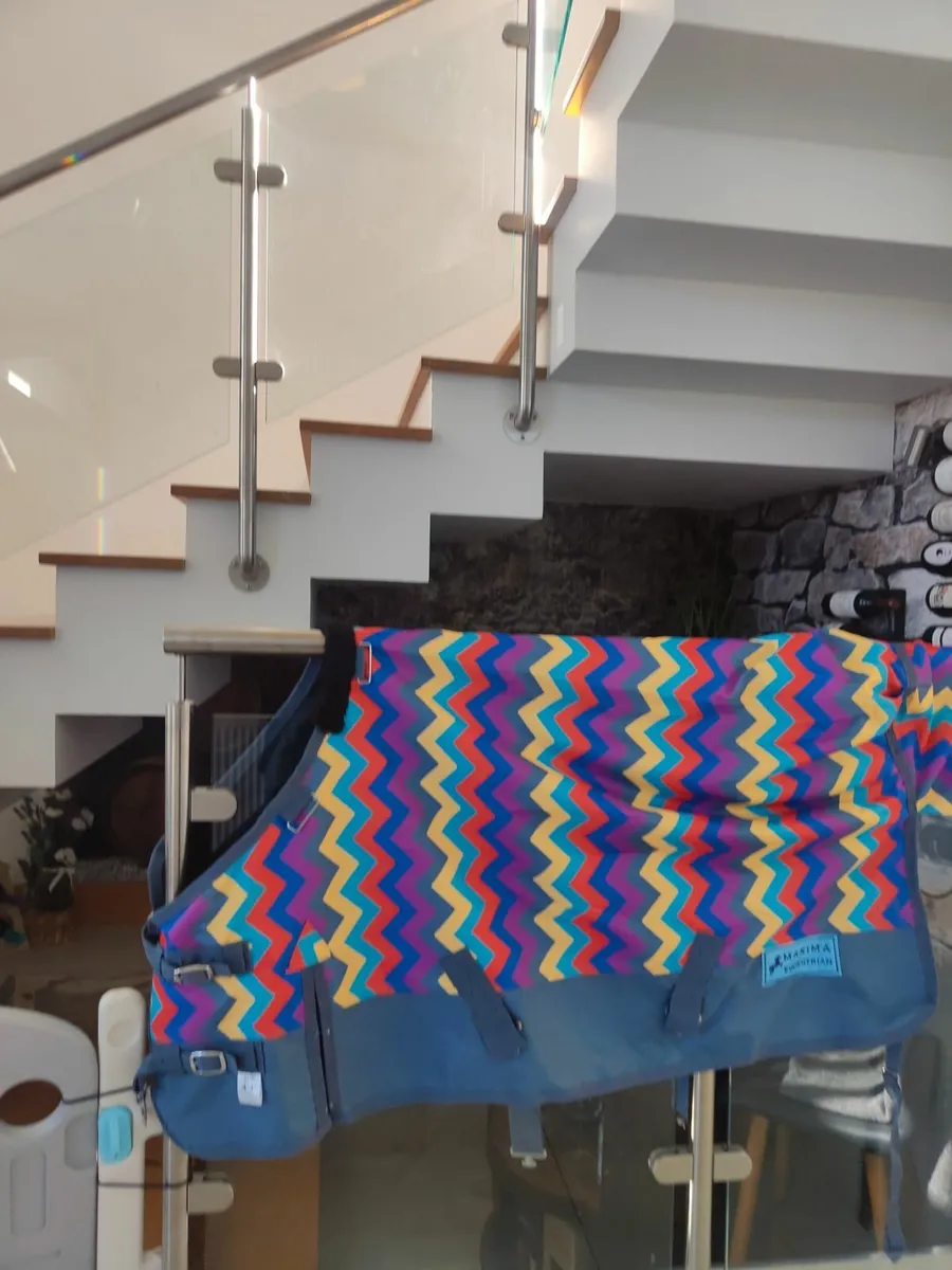 Pony rug - Image 1