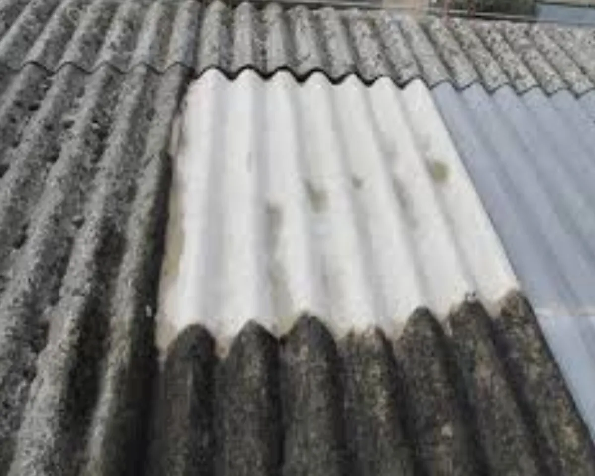 Asbestos Roof Cleaning - Image 3