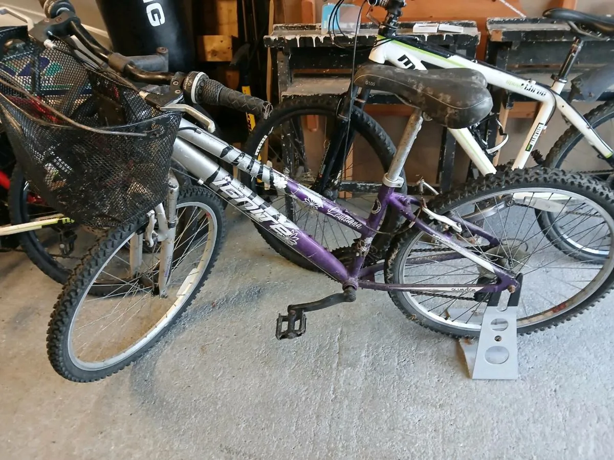 Bicycle