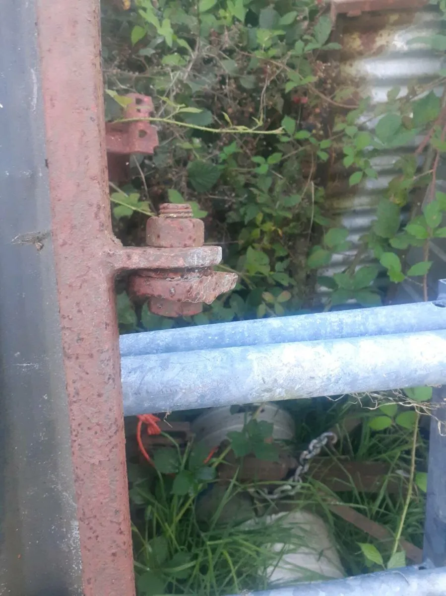Large shed door - Image 4