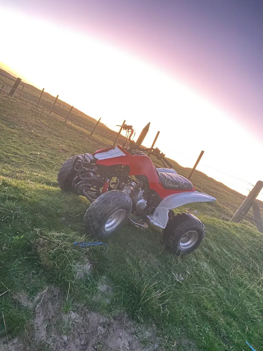 125 cc - Image 2