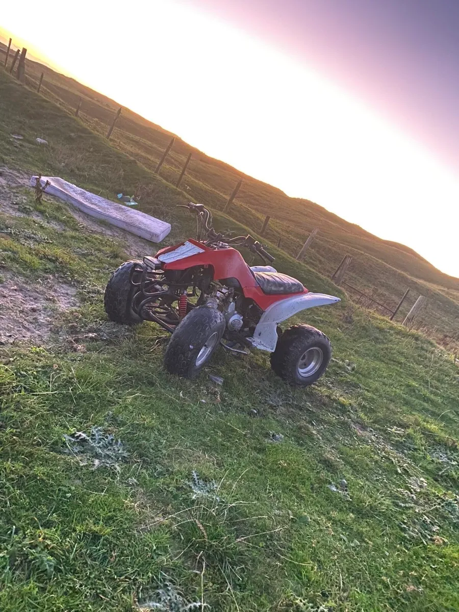 125 cc - Image 3