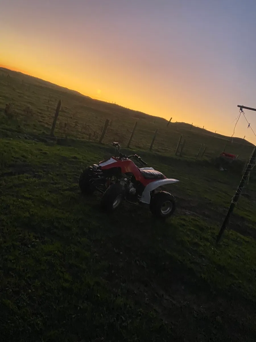 125 cc - Image 4