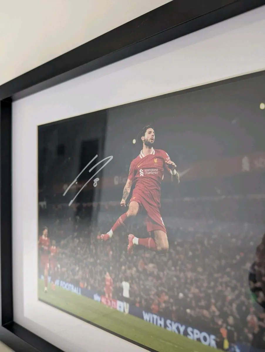 Dominik Szoboszlai Liverpool FC 12 x 8 signed phot - Image 2