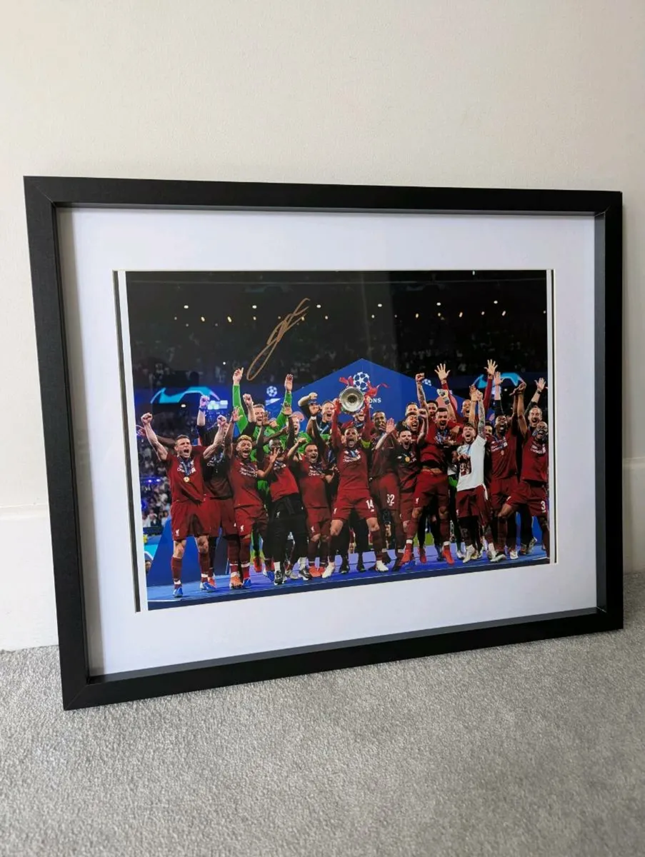 Divok Origi Liverpool signed 16 x 12 framed photo - Image 1