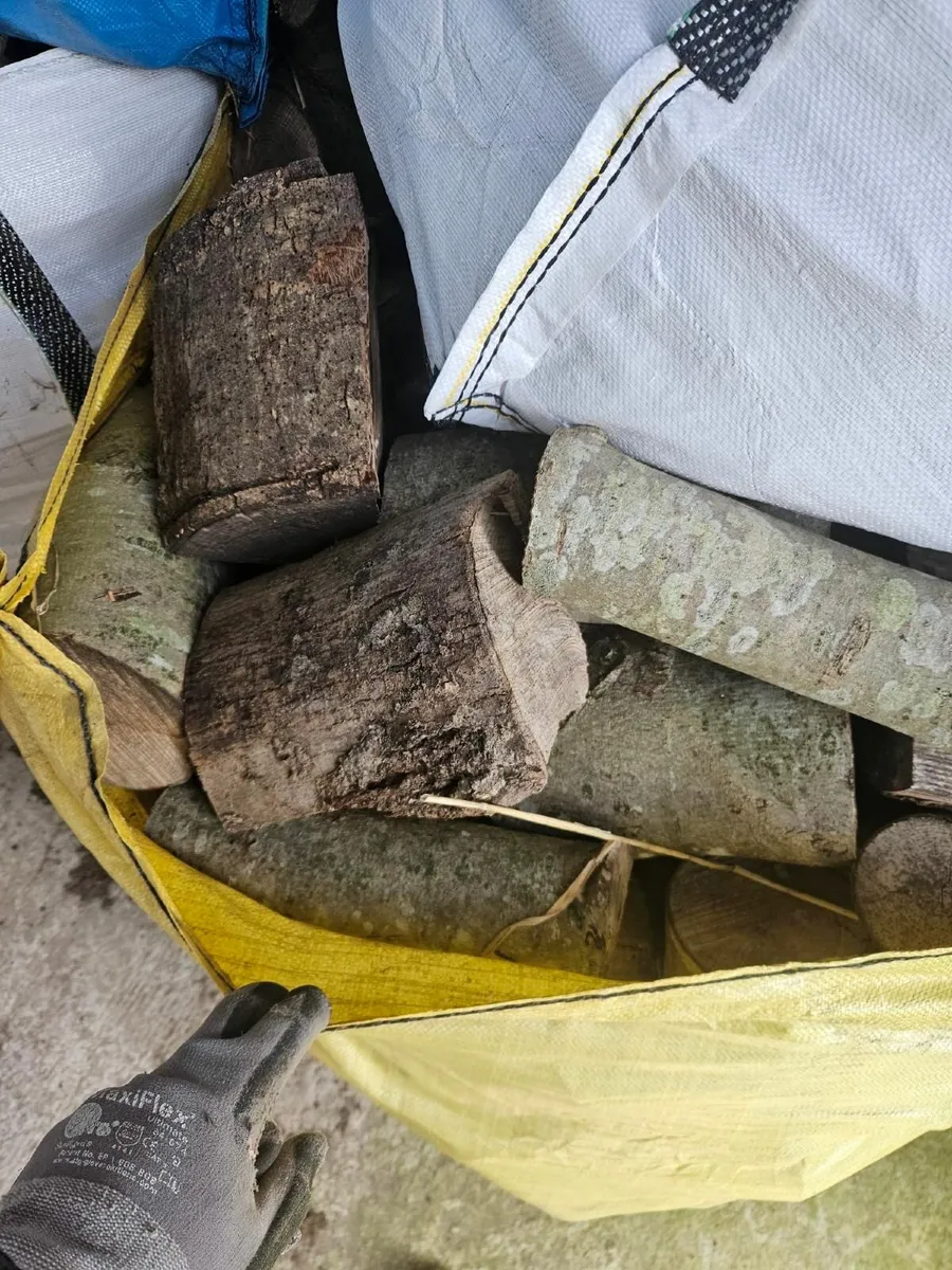 Firewood - Hardwood - Image 4