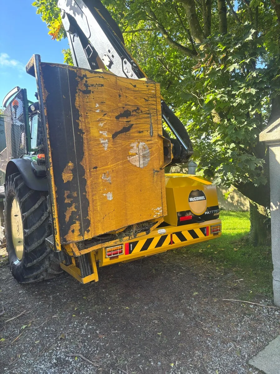 McConnel heads - Image 2