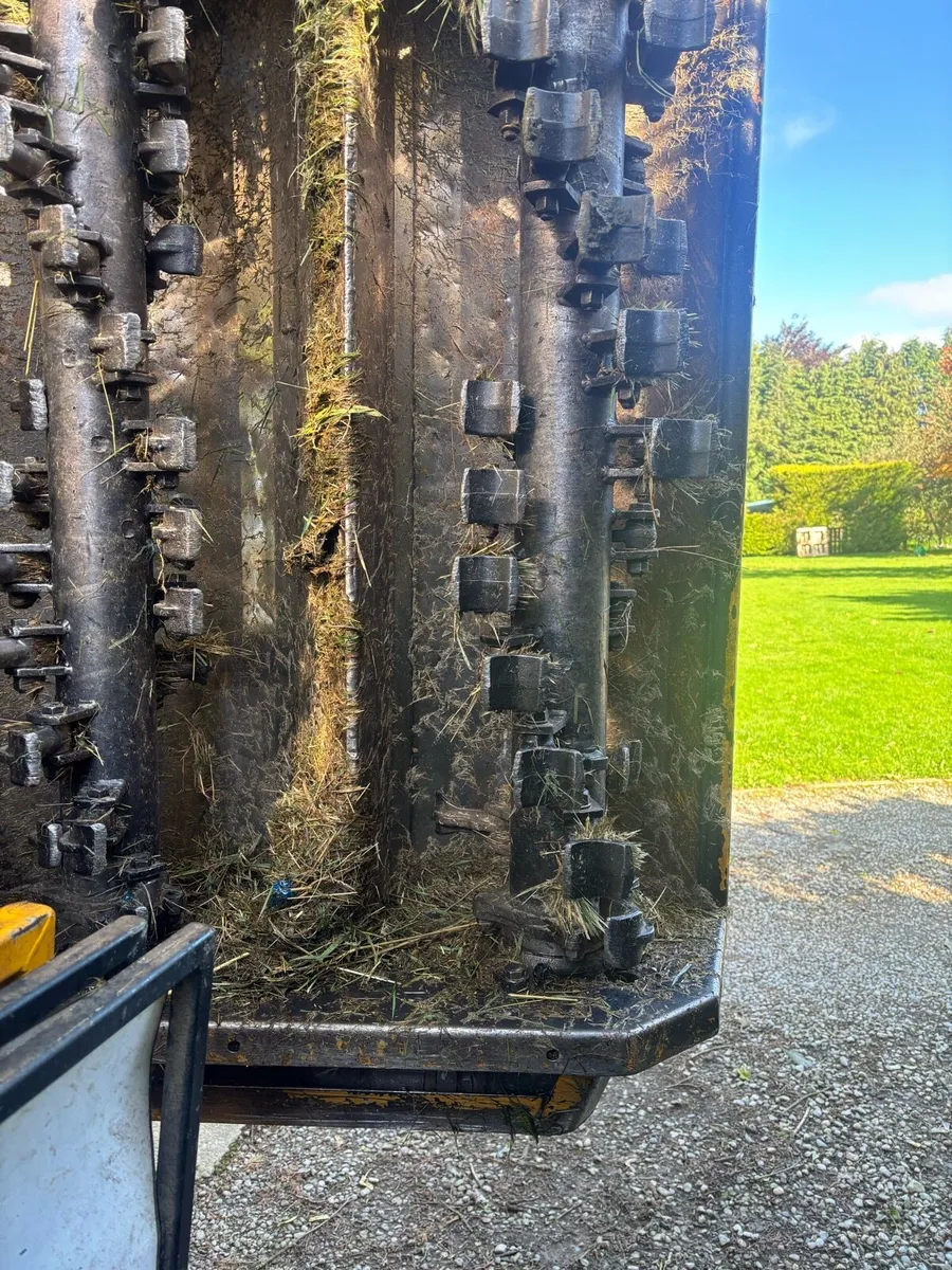 McConnel heads - Image 4