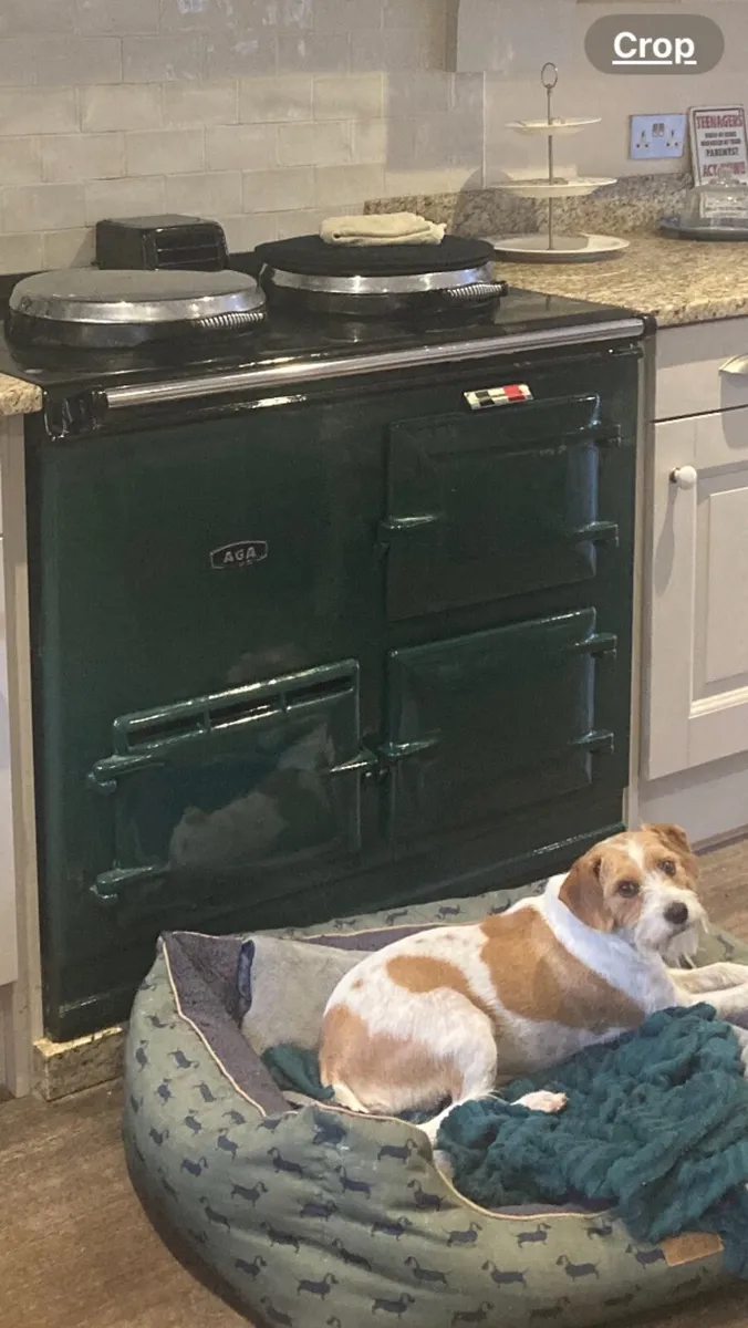 Aga cooker
