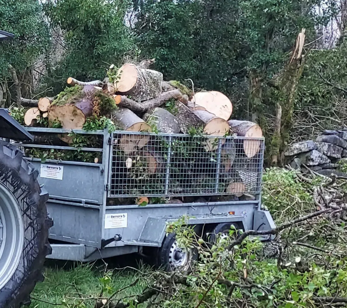 Quality Firewood