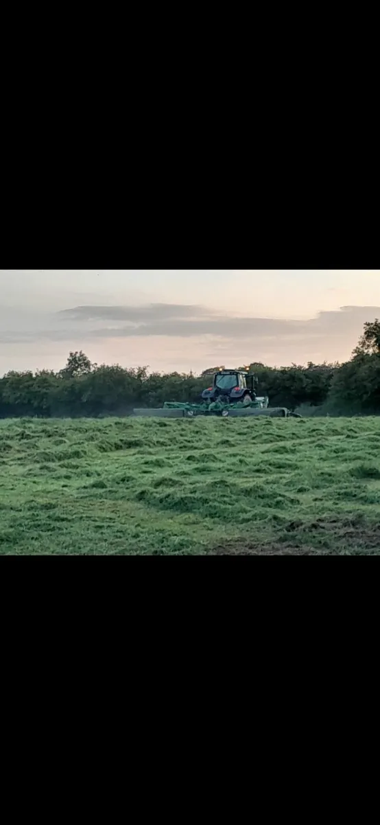 1st cut silage - Image 1
