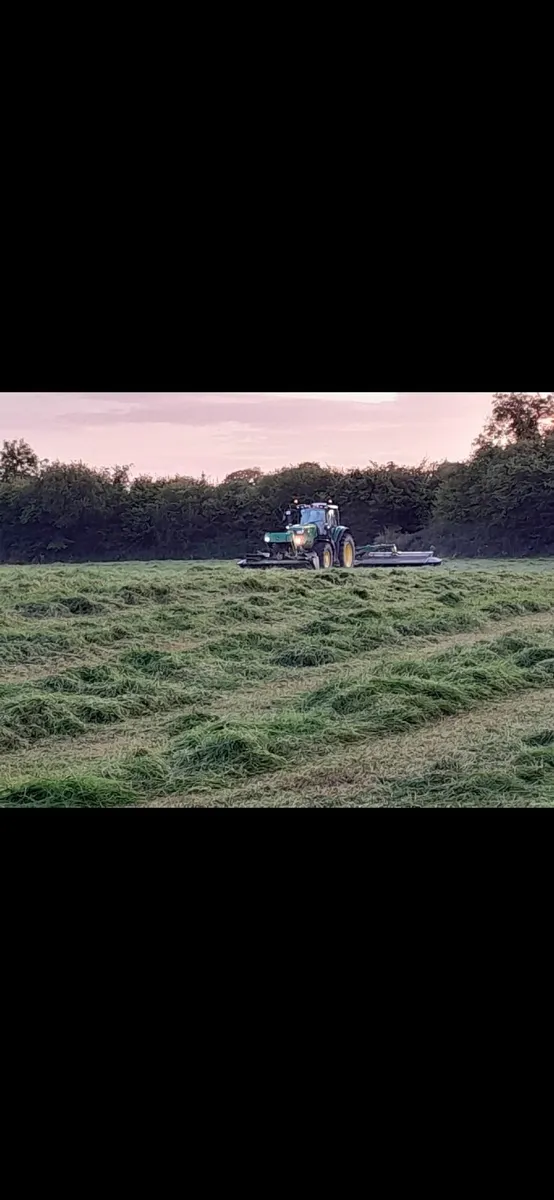1st cut silage - Image 3