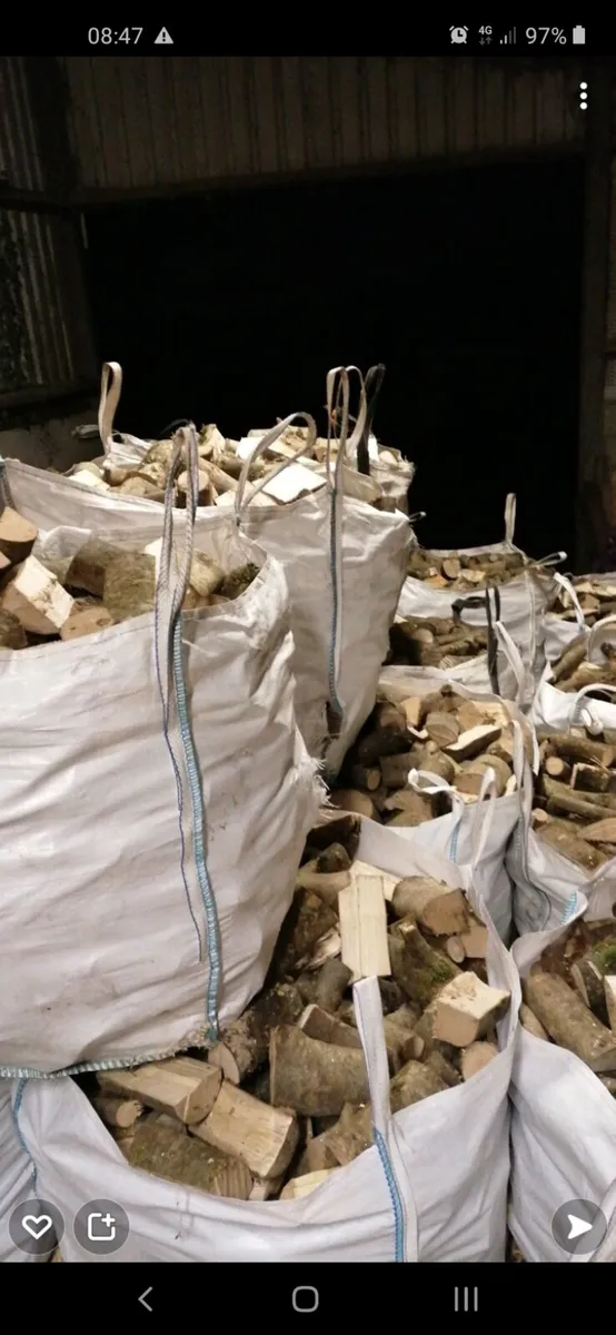Firewood - Image 1