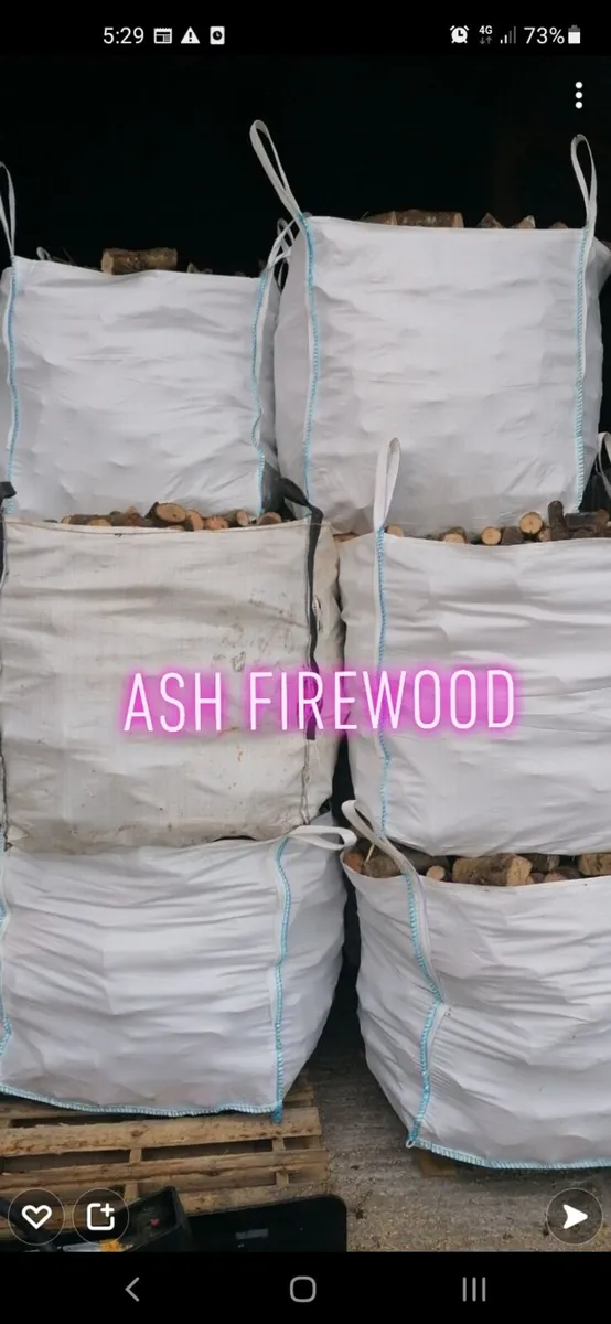 Firewood - Image 2