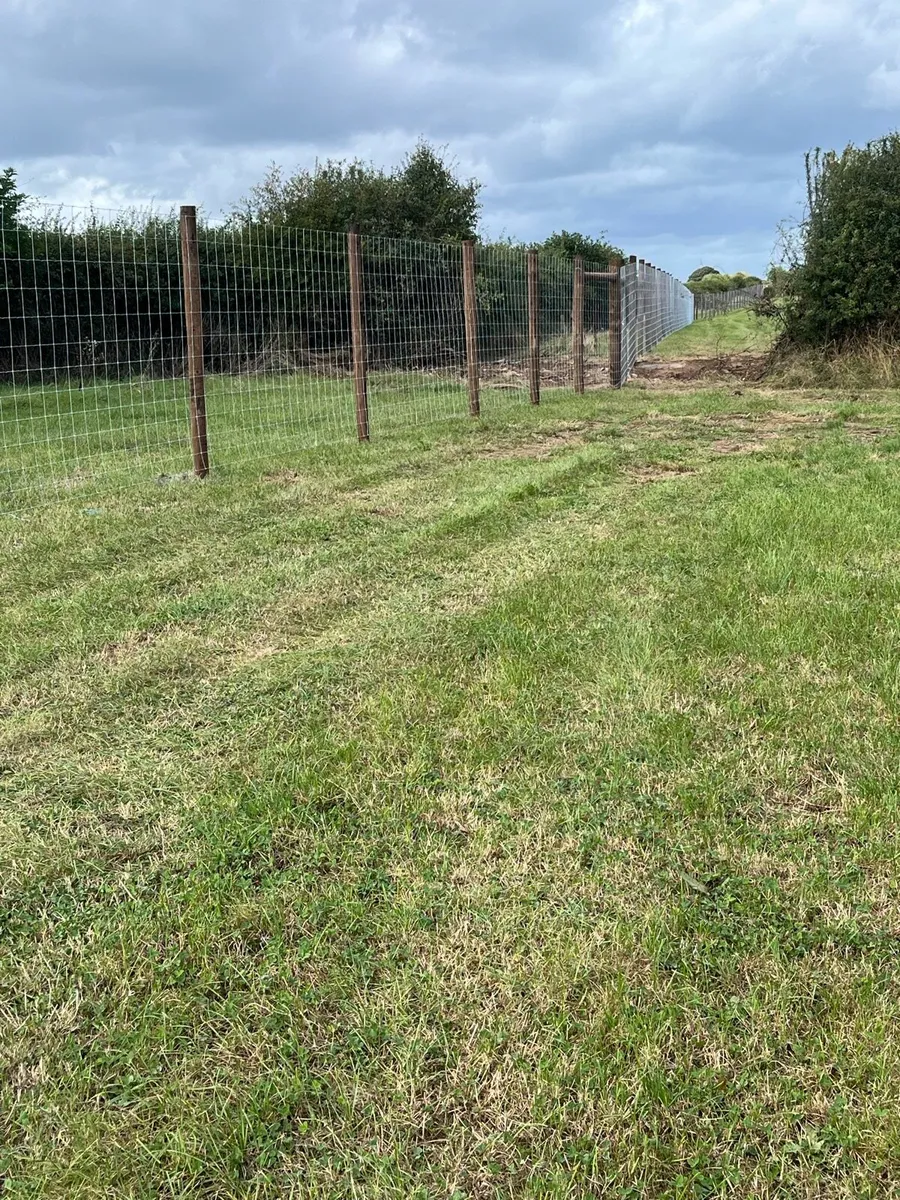 Fencing contractor - Image 1