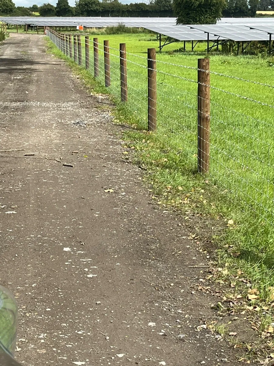 Fencing contractor - Image 3